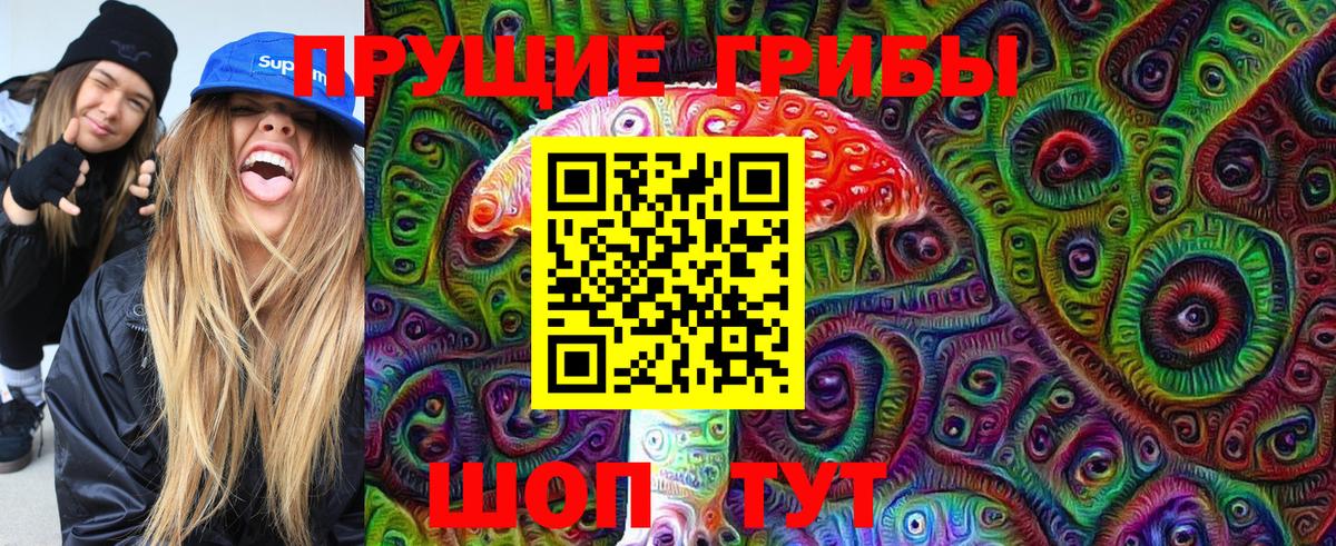 Псилоцибиновые грибы Cubensis  даркнет сайт  Ейск  Галлюциногенные грибы прущие грибы  Вход с VPN 
